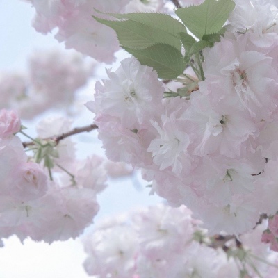 Furry插画细节刻画Furry群